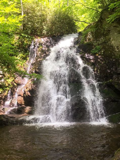 Spruce Flats Falls Hike In The Smoky Mountains Caddywampus Life