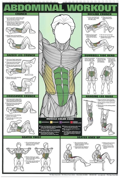 Ab Workout Chart PNG Good Ab Workouts