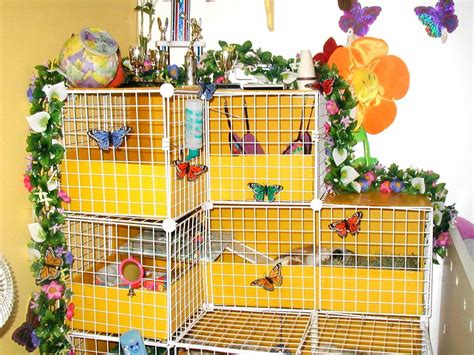 Top Two Levels Guinea Pig Cages