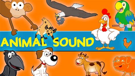 Animals Sounds And Pictures Soakploaty