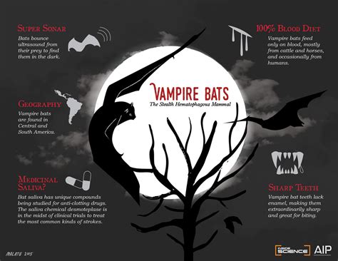 Vampire Bats The Stealth Hematophagous Mammals Inside Science