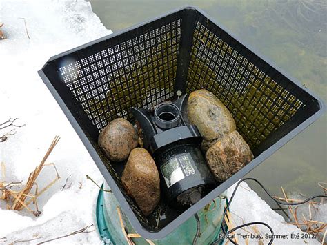 Pond De Icer System Winterizing A Pond Keep Fish Safe