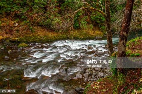 Sol Duc River Photos And Premium High Res Pictures Getty Images