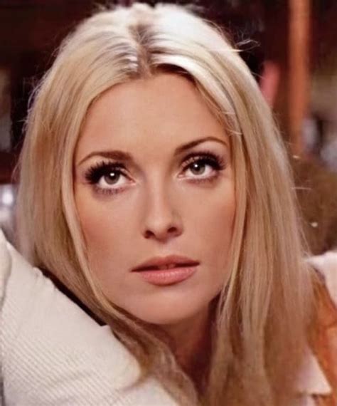 Pin By Christy Huffman Phillips On Simply Miss Tate Sharon Tate