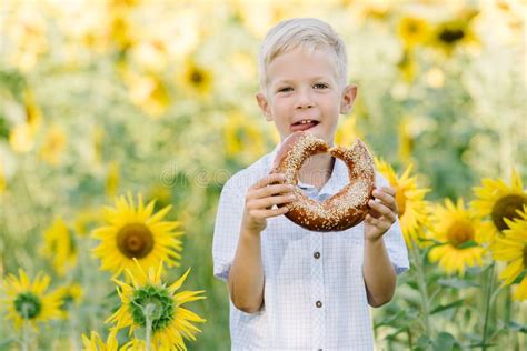 Adorable Blond Boy Eating Bagel On Summer Sunflower Field Outdoors