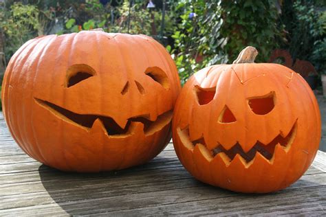 30 Pumpkin Pictures For Carving Decoomo