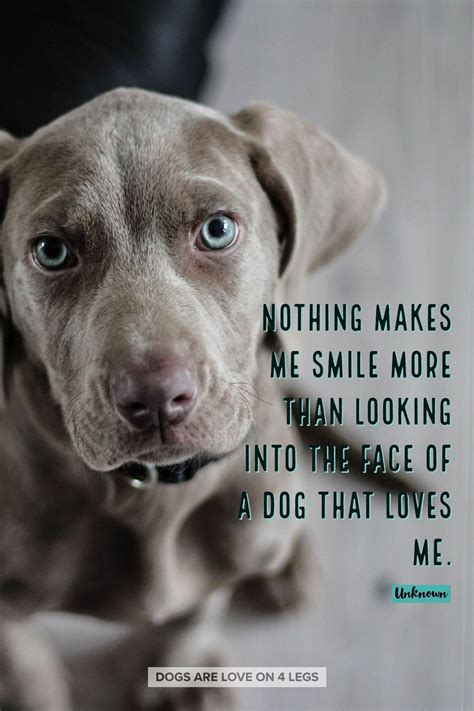 Nothing Makes Me Smile More Than Dog Dog Quotes