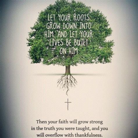 How Deep Are Your Roots Shereadstruth Shereadstruth Spiritual