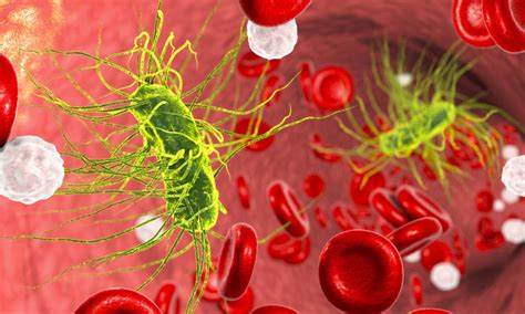 Sepsis is a serious illness and can lead to a life threatening condition called septic shock. Quick test finds signs of sepsis in a single drop of blood