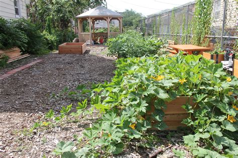 Top new york city gardens: Community gardens could play key role in NYC's outdoor ...