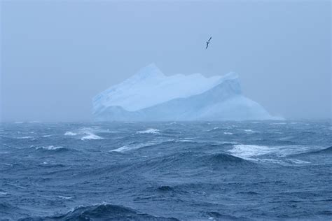 National Geographic Makes It Official Southern Ocean Is The Fifth