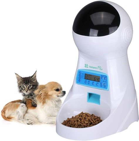 Best Automatic Dog Feeders Wet And Dry Foods W Portion Control
