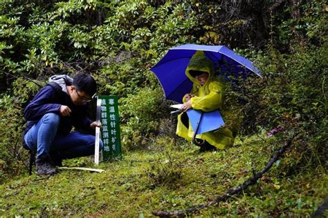 生物多样性优秀案例（52） 云南白马雪山国家级自然保护区“天空地一体化”生态监测澎湃号·政务澎湃新闻 The Paper