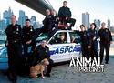 Animal Precinct TV Show - Watch Online - Animal Planet Series Spoilers