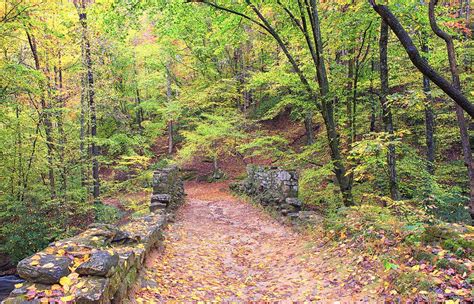 Autumn Pathway Photograph By Blaine Owens Fine Art America
