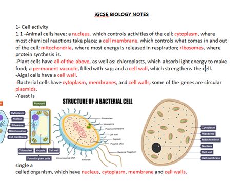 igcse biology notes 45 off gt