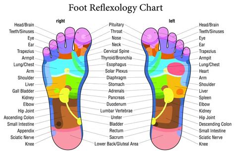Touch These Points On Your Feet For Improved Health According To