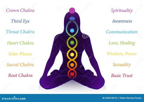 Chakras Names Kundalini Serpent Woman Meanings Symbols Vector