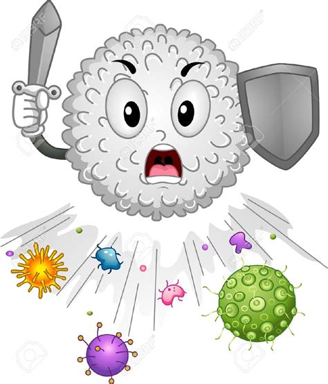 Immune System Clipart 20 Free Cliparts Download Images On Clipground 2024