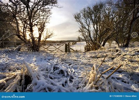 Winter Morning In The Yorkshire Dales England Stock Photo Image Of