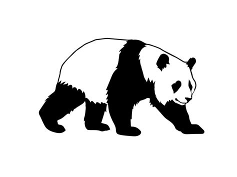 Panda Svg Pet Svg Animal Svg Cricut Clipart Cricut Svg Etsy