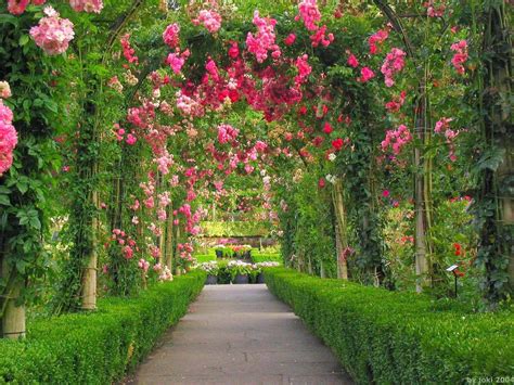 20 Rose Garden Wallpaper Ideas You Gonna Love Sharonsable