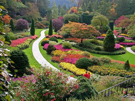 Butchart Gardens Victoria Bc In The Fall By Anndixon Redbubble