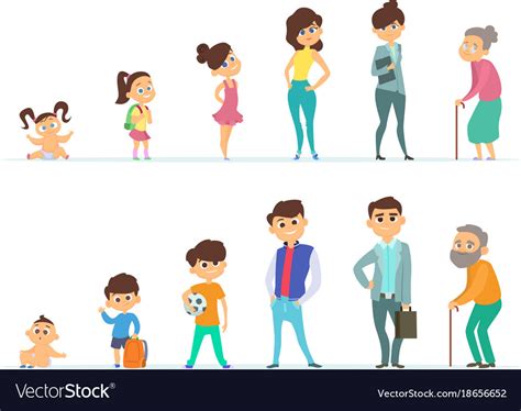 Human Life Cycle Stages Infographic Stock Illustration Download Image