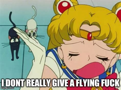 Funniest Meme You Can Relate 80 Relatable Sailor Moon Memes For True Fans Fandomspot
