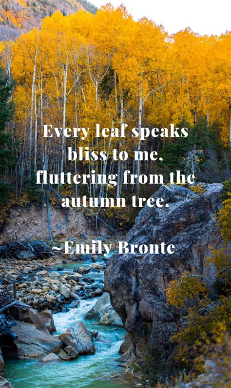 Enjoy The Beauty Of The Season Read A Few Of My Favorite Fall Quotes