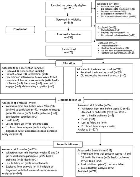 Individual Goal‐oriented Cognitive Rehabilitation To Improve Everyday