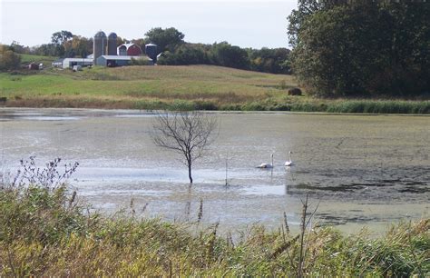 Bwsr Seeking Public Comments To Inform Wetland Conservation Act