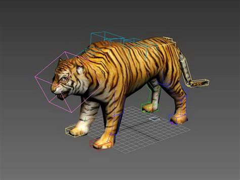 Tiger Rigged 3d Model 3ds Max Files Free Download Modeling 48507 On