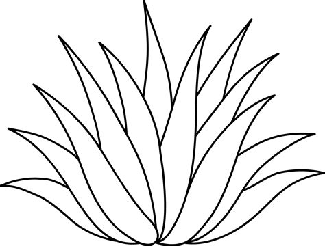 Agave Or Aloe Plant Line Art Agave Plant Plant Art Plant Drawing