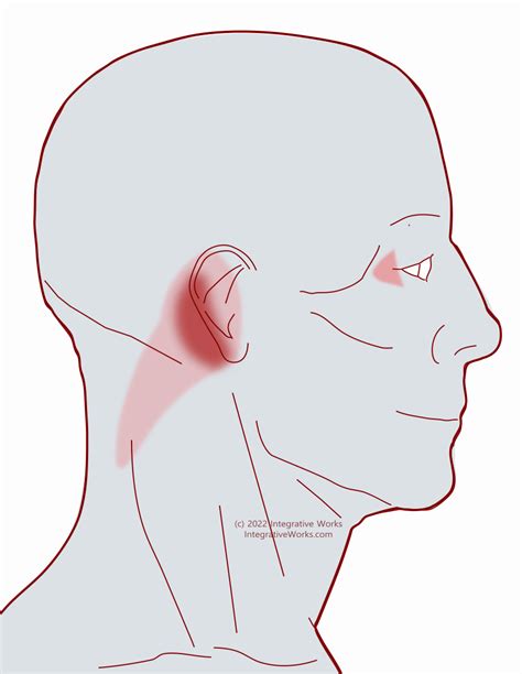 Pain Behind The Ear With Tension Down The Neck Integrative Works