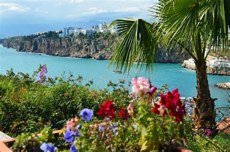 The Gulf Of Antalya And Emerald Mediterranean Sea Behind The Flowers