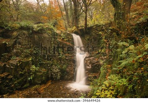 Peaceful Woodland Waterfall Autumn Colours Rydal Stock Photo 396649426