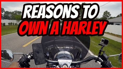 5 Reasons To Own Harley Davidson Youtube