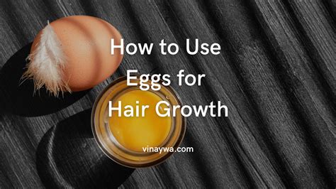 How To Use Eggs For Hair Growth And Its Benefits Vinaywa