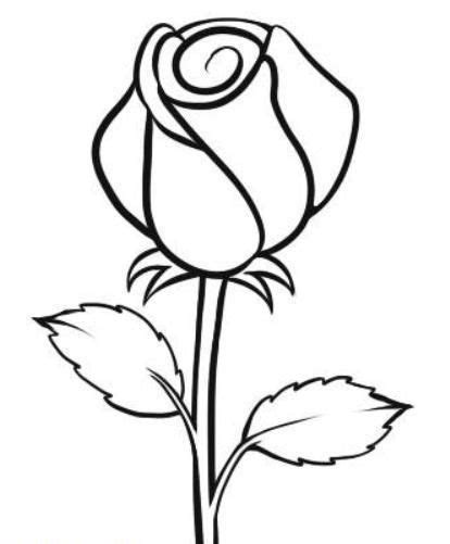 Sketsa Bunga Mawar Yang Sederhana Sketsa Bunga Lukisan Bunga Gambar