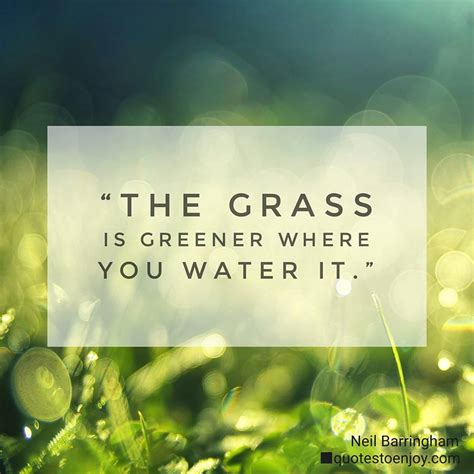 The Grass Is Greener Where You Water It Quotestoenjoy