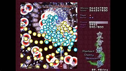 Touhou Cherry Blossom Perfect