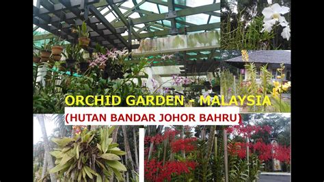 Compare prices for trains, buses, ferries and flights. Orchid Garden- Malaysia (Hutan Bandar Johor Bahru) - YouTube