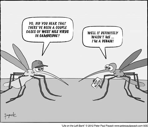 les 87 meilleures images du tableau silly mosquito jokes sur pinterest moustiques blagues et