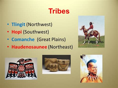 native american project tribes tlingit northwest hopi southwest comanche great plains