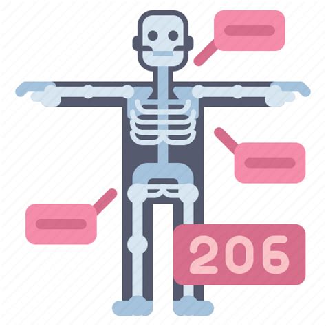 Anatomy Bones Health Medical Icon Download On Iconfinder
