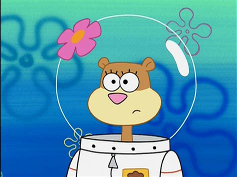 Sandy Cheeks Wallpapers Wallpaper Cave