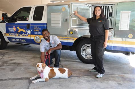 Animal Services Enforcement Pinellas County