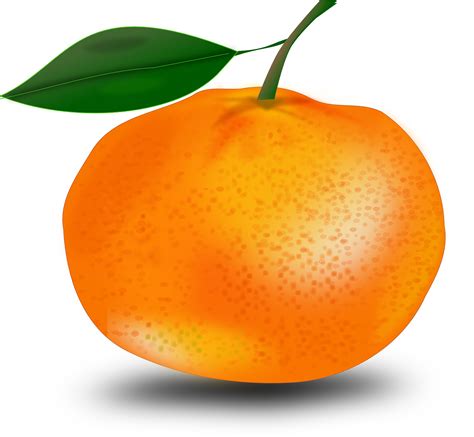 Tangerine Mandarin Png Png Play