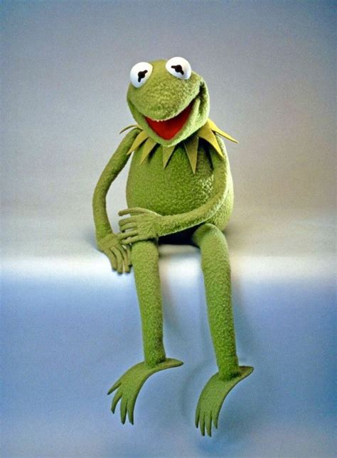 Pin On Kermit The Frog ~ But Thats None Of My Business